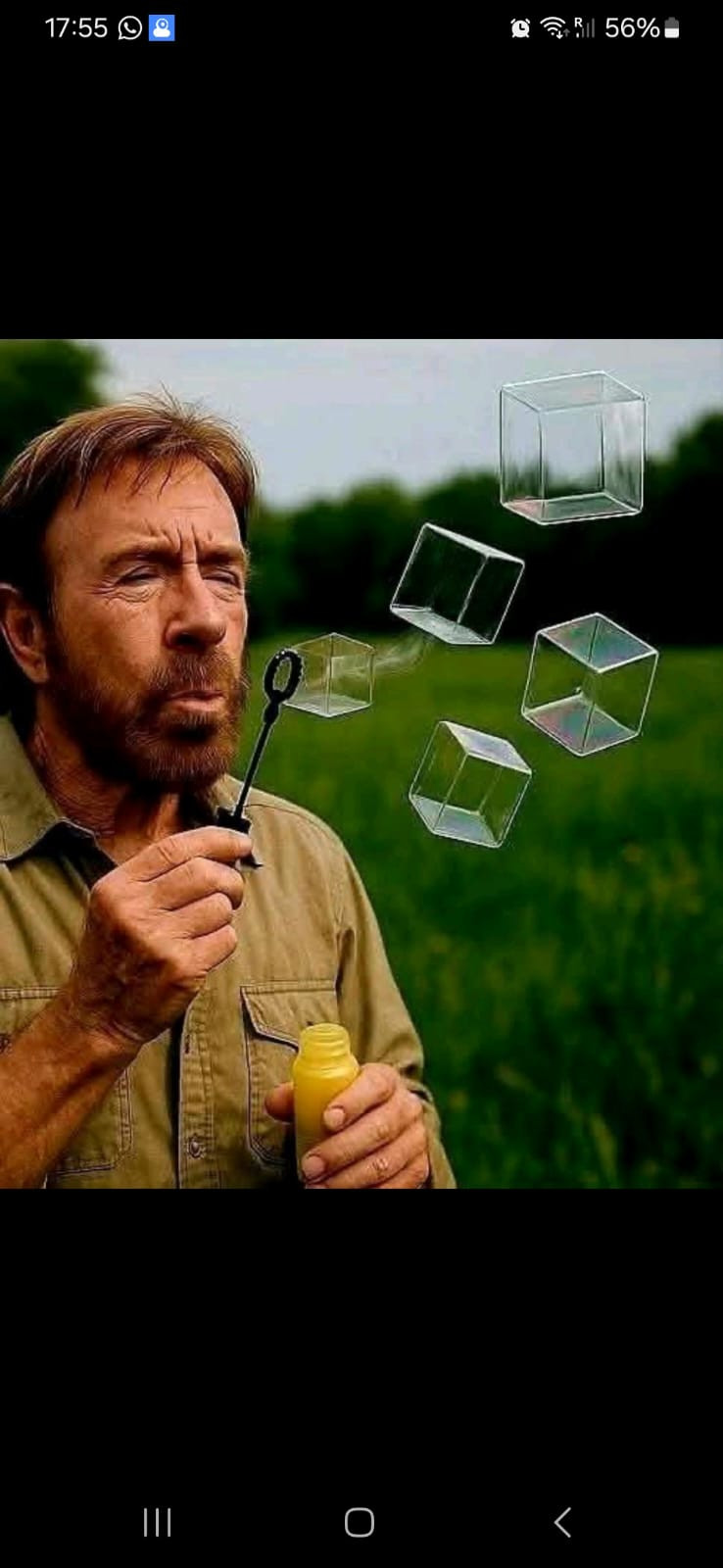 Gavriél Meyer Profile Picture