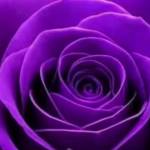 Nomafu Ngubane Profile Picture