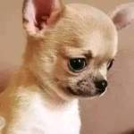 Sifiso Sikhakhane Profile Picture