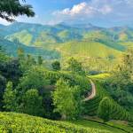 Sipho sikhakhane Profile Picture