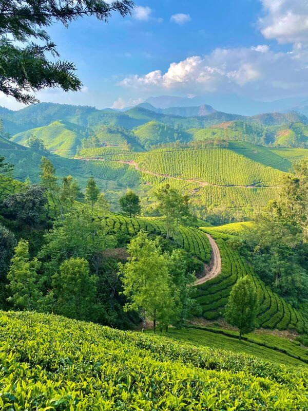 Sipho sikhakhane Profile Picture