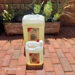 Lesabe Moloele Profile Picture