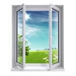 fida bannour Profile Picture