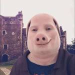king profile picture