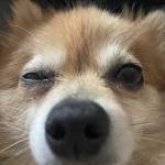 Chané Esterhuyse Profile Picture