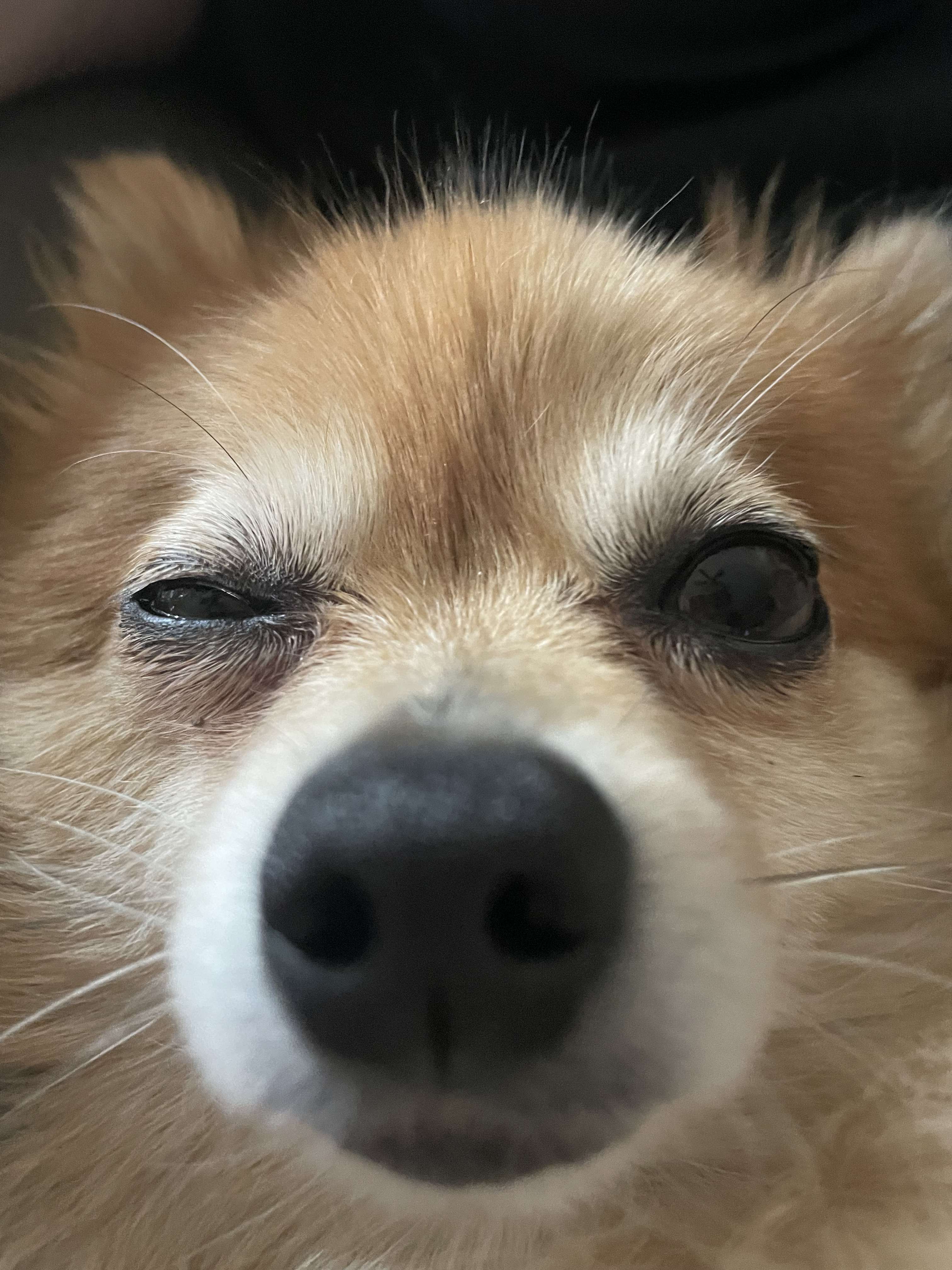 Chané Esterhuyse Profile Picture