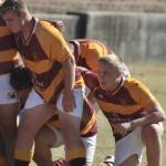 Nian Janse van Rensburg Profile Picture