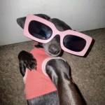 diop4228 profile picture