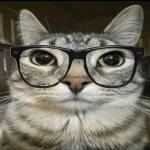 Marwa profile picture