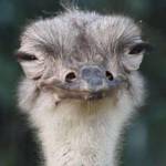 Advice from a recruiter profile picture