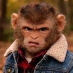 Danisile Satula Profile Picture