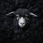 Bonga Sijaka Profile Picture