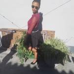 Christen Lee Abrahams Profile Picture