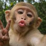 Buhle Mbonani Profile Picture